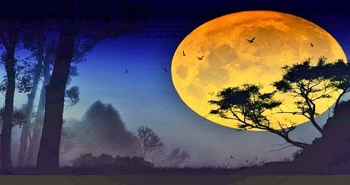 Nescis quid vesper (serus) vehat: "Kamu tidak tahu apa yang akan dibawa oleh malam yang larut"